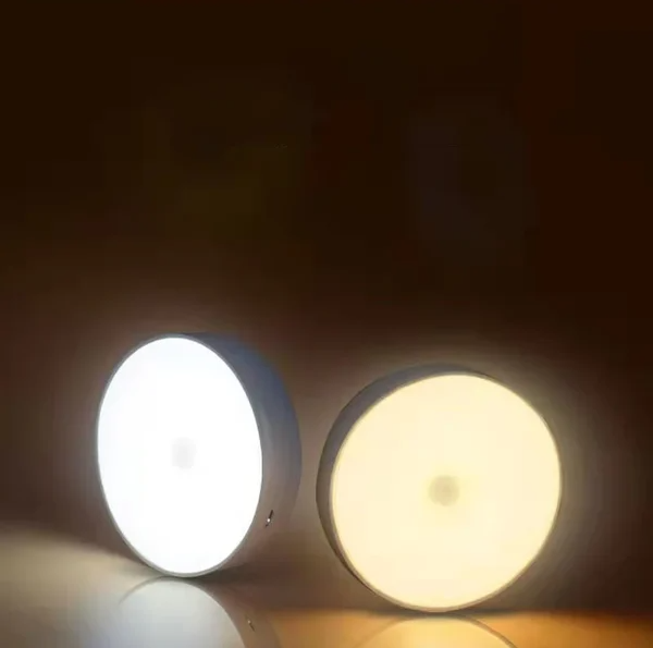 Energy-Efficient LED Motion Sensor Light