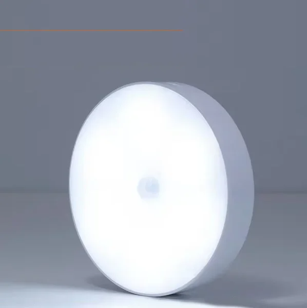 Energy-Efficient LED Motion Sensor Light